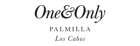 OneAndOnlyLosCabos.png